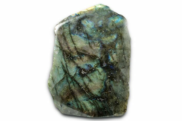 Tall, Single Side Polished Labradorite - Free-Standing #341820